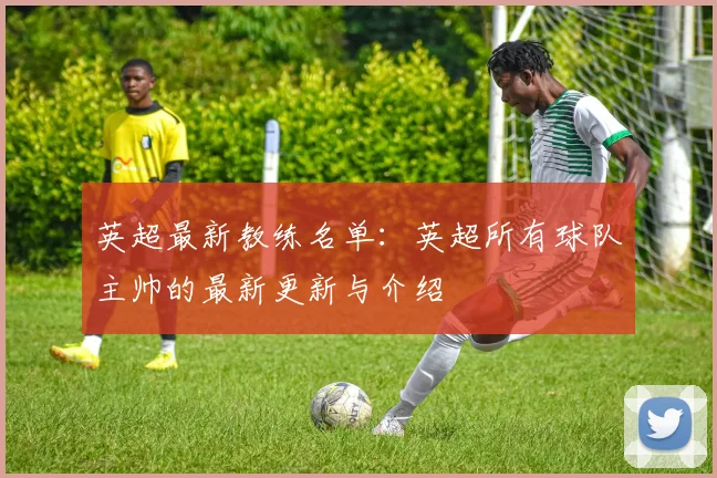 英超最新教练名单：英超所有球队主帅的最新更新与介绍