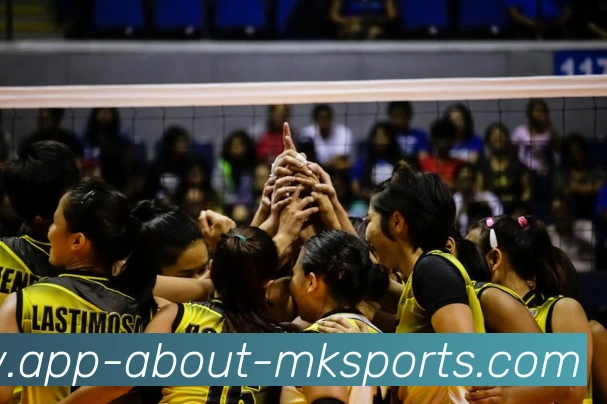 MK体育APP发展历程